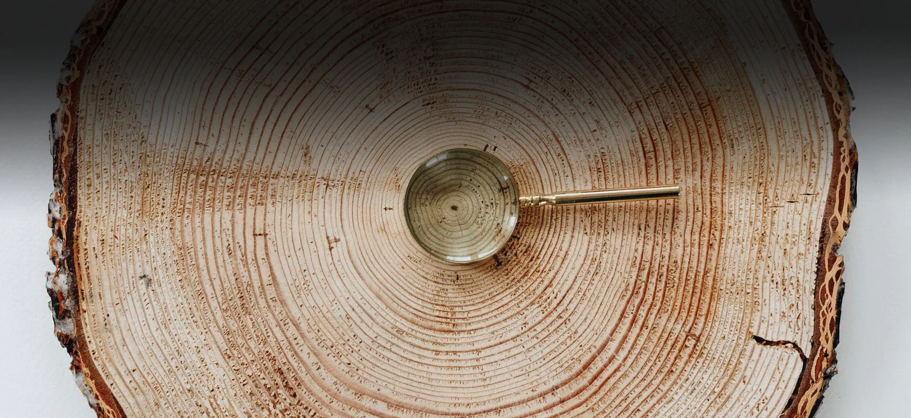 Bülten #12 – 1750’lerdeki sıcaklıkları nasıl bilebiliyoruz?